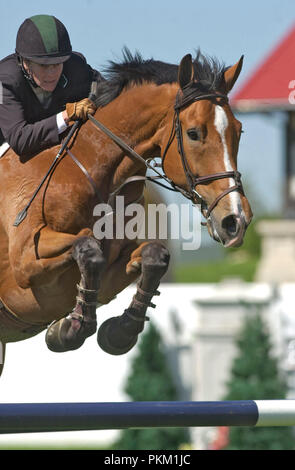 Spruce Meadows Continental Cup 2004, Nexen, Anne Kursinski (USA) équitation Lorenzo Banque D'Images