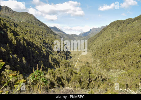 Dans la vallée Bujuku des Monts Rwenzori (Ouganda) Banque D'Images