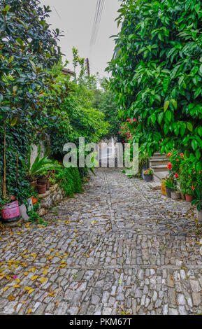 Ruelle typique dans le village de Lania, Chypre. Montre une voie pavée entre envahis par les arbres et arbustes. Banque D'Images