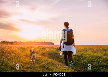 Jeune femme Backpacker Walking With Dog in Summer meadow grass Heure du lever au coucher du soleil. Style de vie sain dans la lumière du soleil d'été promenades en soirée. Banque D'Images