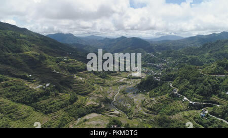 Vue aérienne des rizières en terrasses sur les pentes de la montagne, À Banaue, Philippines. La culture du riz dans le Nord Batad. Forêt, Montagnes couvertes d'arbres. Cordillères des Philippines. Banque D'Images