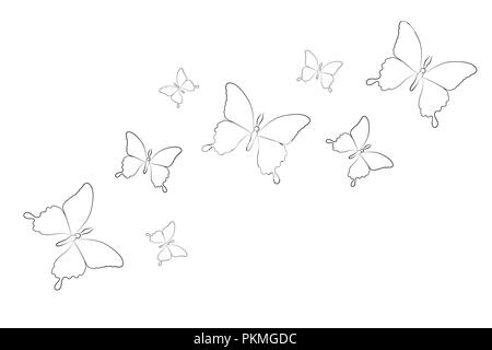 Jeu de dessin en ligne butterfly isolé sur un fond blanc vector illustration EPS10 Illustration de Vecteur