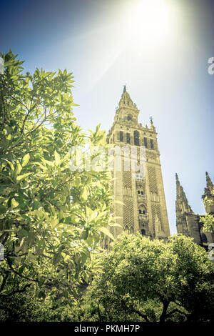 Soleil au Giralda de la cathédrale de Séville, Espagne, Europe Banque D'Images