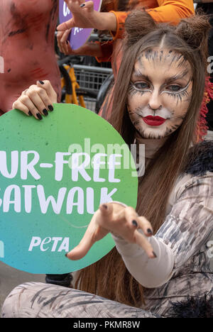 14 septembre 2018 Londres, London Fashion Week PETA les manifestants dans des tenues cat célébrer une 'Absence' la semaine de la mode, Ian Davidson Crédit/Alamy Live News Banque D'Images