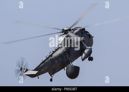 L'image de fichier La Royal Navy l'ASaC Sea King MK 7 sont à faire un dernier passage aérien sur le Sud Ouest de l'Angleterre le 18 septembre 2018 pour marquer la fin de quarante-neuf ans de service avec la Fleet Air Arm 849 AN ont piloté les Bourne Air version d'alerte précoce des Sea King depuis 1982 ici est l'un des derniers rois de la mer à Yeovilton lors de sa dernière journée de l'air à affichage Flyning/ Banque D'Images