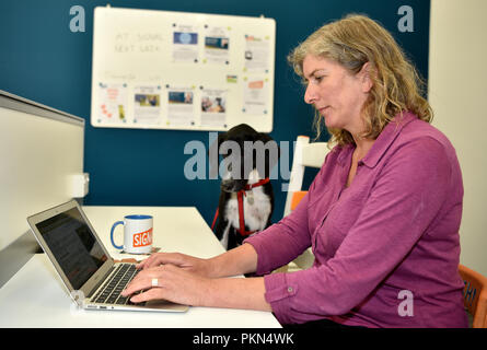 Femme au travail sur son ordinateur portable à son bureau avec 'Buck' un pointeur de la Croix-Rouge allemande, amener votre chien au cours d'une journée de travail, Bordon, Hampshire, Royaume-Uni. Banque D'Images