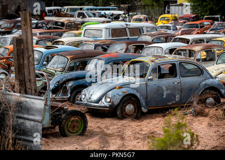 La rouille vieux Volkswagen Beetles dans un parc à ferrailles dans Moab, Utah, USA Banque D'Images