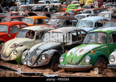 La rouille vieux Volkswagen Beetles dans un parc à ferrailles dans Moab, Utah, USA Banque D'Images