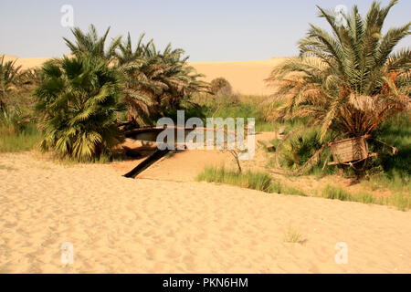 Soi-disant 'Hot Spring' dans le désert du Sahara, près de l'oasis de Siwa, Egypte Banque D'Images