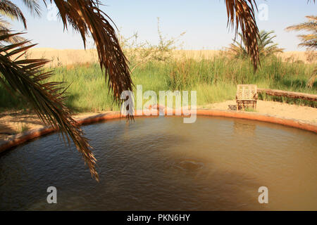 Soi-disant 'Hot Spring' dans le désert du Sahara, près de l'oasis de Siwa, Egypte Banque D'Images