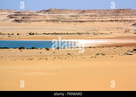 Salt Lake mortelle près de la frontière libyenne, l'oasis de Siwa, Egypte Banque D'Images