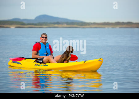 Homme assis dans un kayak jaune vif au bord de la mer avec son chien obéissant assis comme mascotte du bateau : un homme et son chien en vacances. Banque D'Images