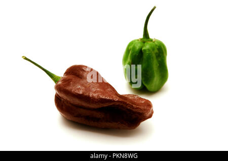 Vert et Noir sur blanc un backgrond de habanero Banque D'Images