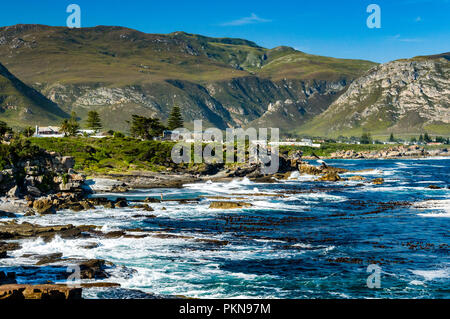 Côtes rocheuses escarpées avec des arbres et montagnes herbeuses mer océan Atlantique Sud Afrique du Sud Banque D'Images