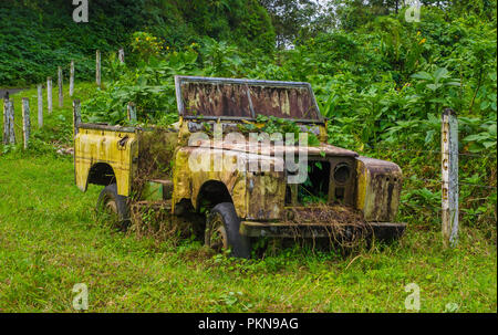 Vieille voiture rouillée abandonnée et en décomposition dans le milieu de la forêt de pluie verte dans Volcan Arenal au Costa Rica Banque D'Images