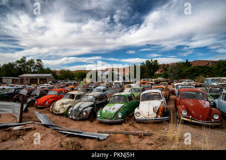 La rouille vieux Volkswagen Beetles dans un parc à ferrailles dans Moab, Utah, USA Banque D'Images