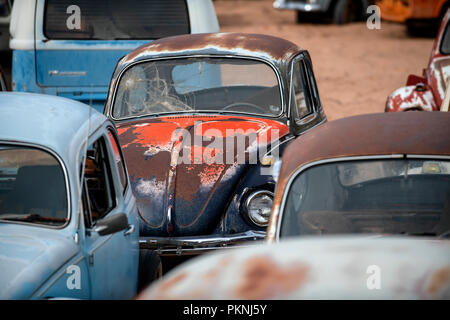 La rouille vieux Volkswagen Beetles dans un parc à ferrailles dans Moab, Utah, USA Banque D'Images