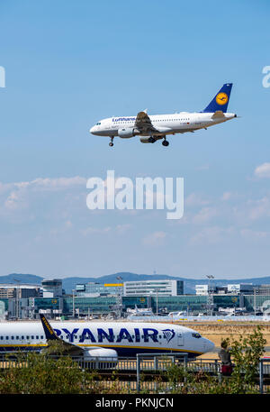 Les avions de la Lufthansa (D-AIBD) et Ryanair à l'aéroport de Francfort Banque D'Images