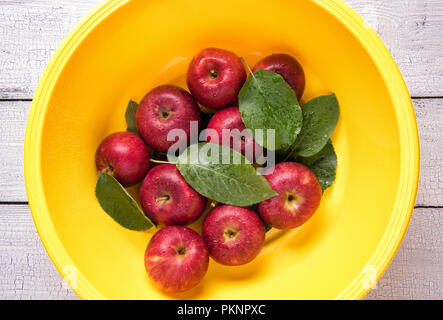 Quelques pommes rouges mûrs humides avec des feuilles vertes en plastique ronde jaune vif d'un lavabo couverts par les gouttes d'eau et placé sur la table en bois blanc. Voir fr Banque D'Images