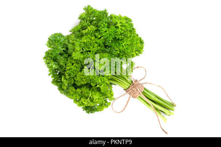 Un bouquet de persil frisé bandé avec une corde avec un arc isolé sur fond blanc Banque D'Images