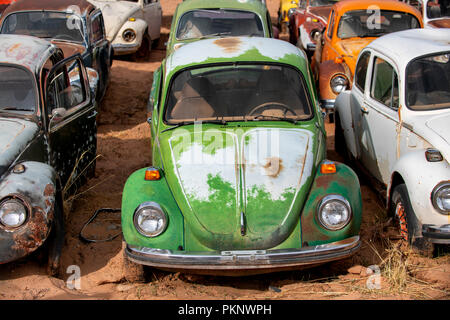 La rouille vieux Volkswagen Beetles dans un parc à ferrailles dans Moab, Utah, USA Banque D'Images