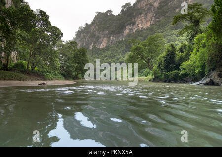 Le magnifique paysage naturel de Phong grotte avec une excursion en bateau au Lac de Ba Be Nation Park est célèbre destination touristique dans la province de Bac Kan, Vietnam. Banque D'Images