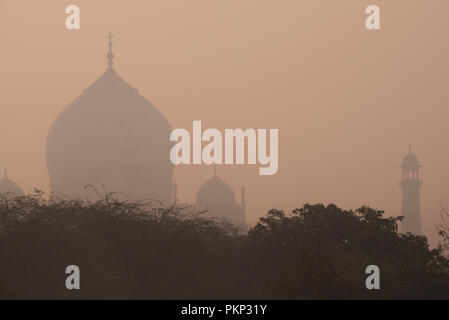 Taj Mahal romantique la merveille du monde et la fierté de l'Inde avec sa coupole principale & minaret dans l'hiver tôt le matin et la brume légère chaude Agra Inde Banque D'Images