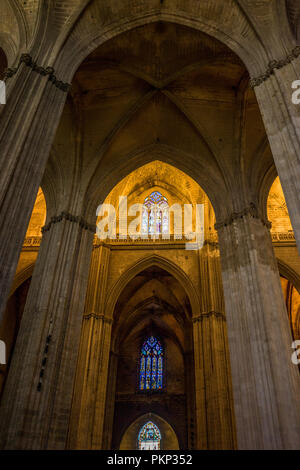 Séville, Espagne- 18 juin 2017 : un pilier et l'intérieur de la cathédrale gothique arch à Séville, Espagne Juin 2017 Banque D'Images