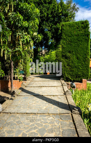 Séville, Espagne- 18 juin 2017 : les étapes pavées dans le jardin de l'Alcazar palace à Séville, Espagne Juin 2017 Banque D'Images
