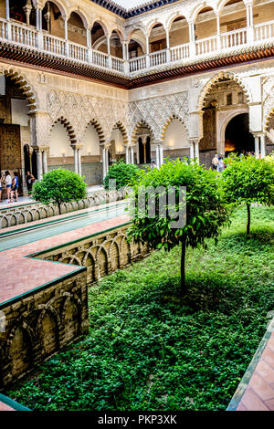 Séville, Espagne- 18 juin 2017 : les gens marchent dans la cour de l'alcazar palace à Séville, Espagne Juin 2017. Banque D'Images