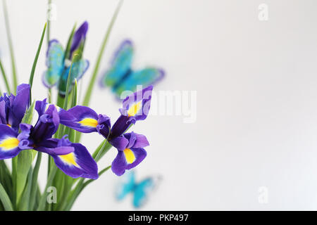 Iris violet sur fond blanc Banque D'Images