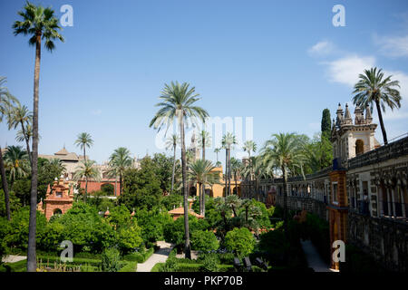 Séville, Espagne - Juin 19 : Vue panoramique sur le jardin de l'Alcazar, Séville, Espagne, le 19 juin 2017. Banque D'Images