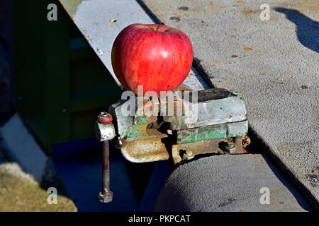 Vice et vice, c'est une pomme rouge mûre sur un étau fixé sur un établi en plein soleil Banque D'Images