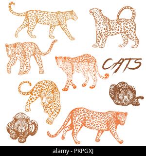 Ensemble de croquis dessinés à la main, le léopard style isolé sur fond blanc. Vector illustration. Illustration de Vecteur