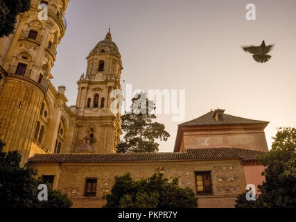 Espagne, Malaga, un groupe d'oiseaux volant au-dessus d'une cathédrale Banque D'Images