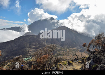 Le Mont Meru vu de peu de Meru, Parc National d'Arusha, Tanzanie Banque D'Images