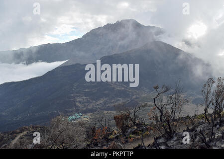 Le Mont Meru vu de peu de Meru, Parc National d'Arusha, Tanzanie Banque D'Images