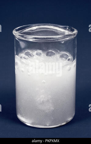 Le calcium qui réagissent à l'eau Banque D'Images