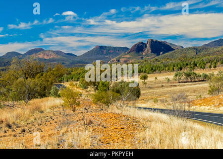 Paysage australien colorés avec route conduisant à travers les forêts et les herbes d'or à des pointes de Warrumbungle National Park s'élevant dans le ciel bleu dans le NSW Banque D'Images