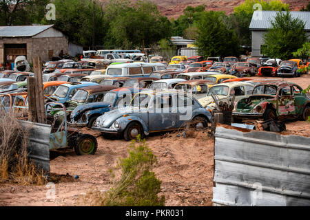 La rouille vieux Volkswagen Beetles dans un parc à ferrailles dans Moab, Utah, USA Banque D'Images