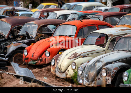 La rouille vieux Volkswagen Beetles dans un parc à ferrailles dans Moab, Utah, USA Banque D'Images