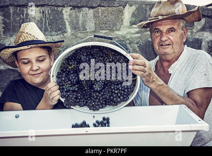 Teenage boy avec son grand-père parsèment grappes de raisins à la vigne. Deux agriculteurs. Thème vintage. Chasse d'automne. Blue photo filtre. Banque D'Images