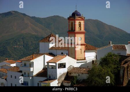 Algatocin, Sierra Bermeja et village, vallée du Genal, la province de Malaga, Andalousie, Espagne, Europe. Banque D'Images