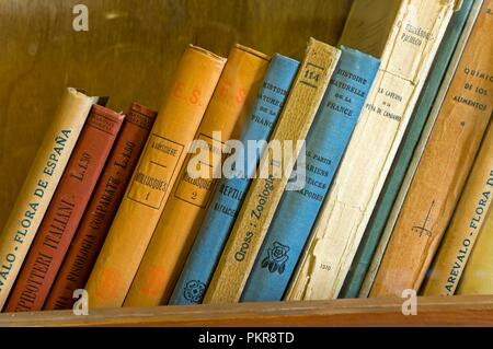 Classe d'Antonio Machado dans la vieille université - détail livres, Baeza, Jaen province, région d'Andalousie, Espagne, Europe. Banque D'Images