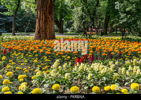 Таттыбюбю ТурсунбаевойPanfilov Images de Square à Bichkek, la magnifique capitale du Kirghizistan, à marcher. Banque D'Images