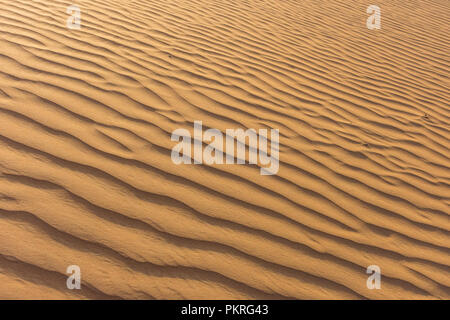 Les dunes de sable de soirée mettez en surbrillance le perturbe le paysage. L'évolution constante du paysage est d'une beauté pas par beaucoup. Banque D'Images