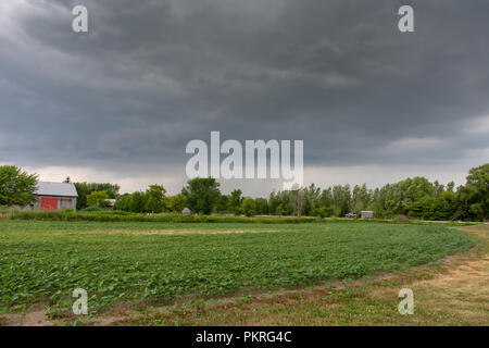 Une tempête en rouleaux sur une terre agricole canadien Banque D'Images