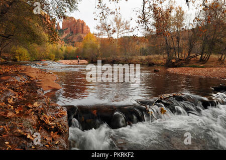 Automne scène montrant Cathedral Rock avec l'Oak Creek qui coule à travers le Red Rock Crossing près de Sedona, Arizona. Le site est populaire auprès des visiteurs de la région. Banque D'Images