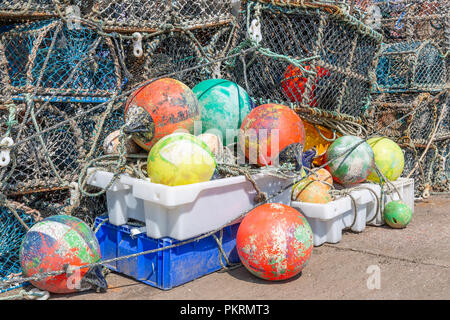 Les casiers à homard Harbour St Andrews, Scotland Banque D'Images