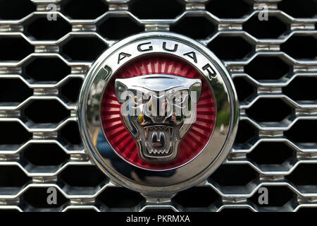 Voiture Jaguar signe insigne logo. Banque D'Images
